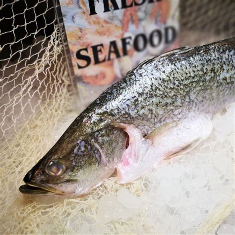 song fish online|Fresh Products .
